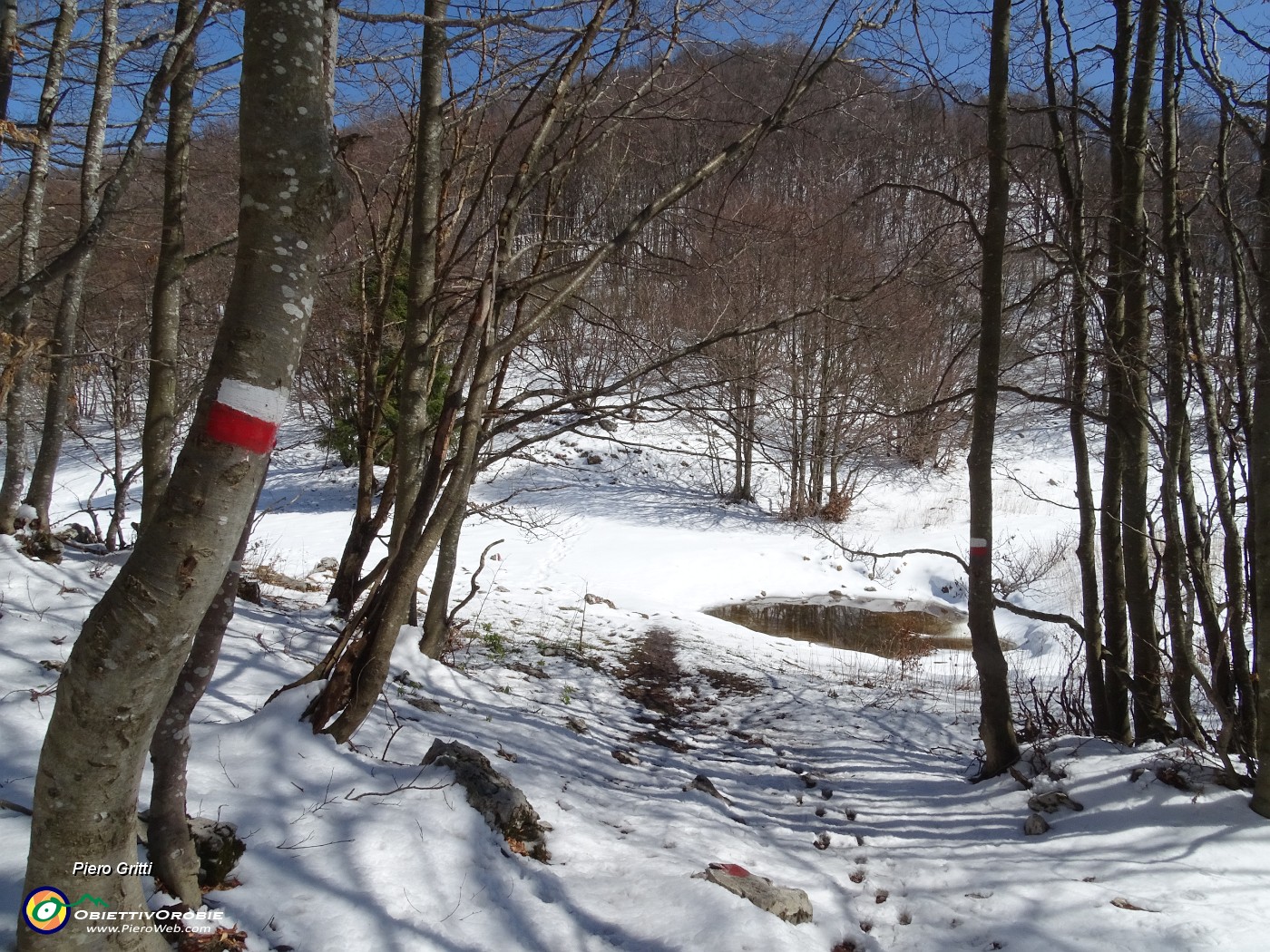 38 Sceso alla Bocca del Grassello (1390 m) proseguo sul sent. 571 per i Canti.JPG